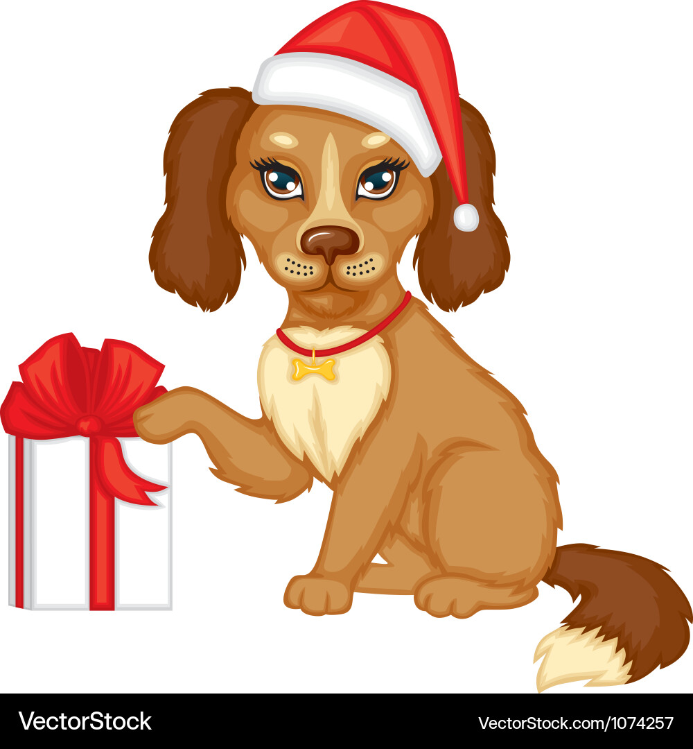 Dog in the cap with a gift vector image