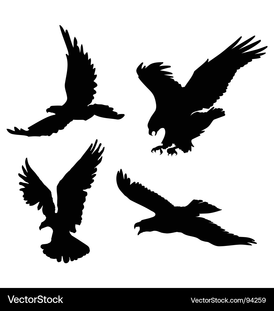 Elegant Eagle Silhouettes Vector Image