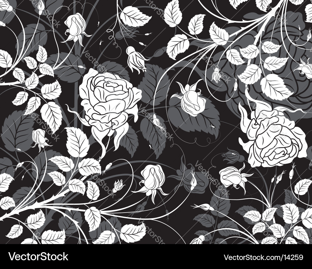 Floral Scroll Pattern Vector Image