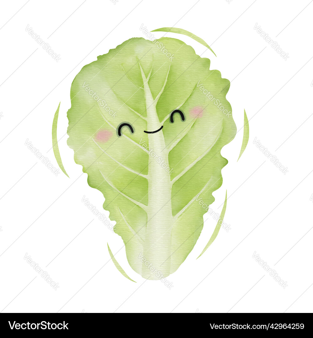 Lettuce leaf cartoon character Lettuce leaf cartoon character vector image