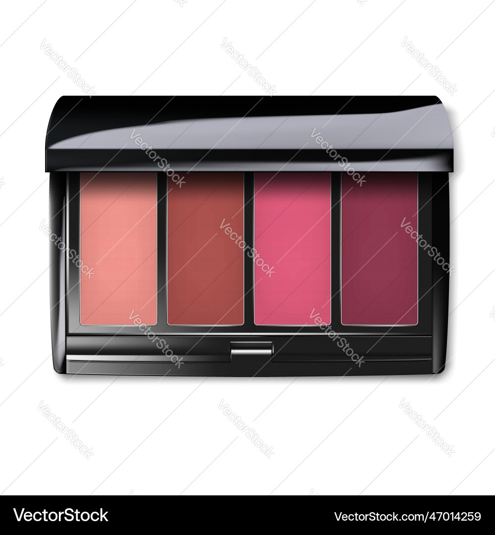 Make-up palette container color compact eyeshadow Make-up palette container color compact eyeshadow vector image