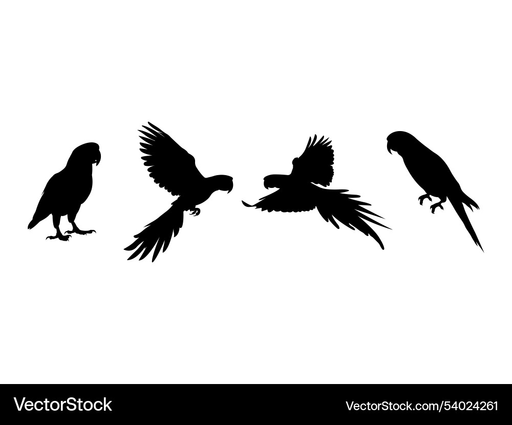 Parrot Bird Silhouettes - Group Vector Image