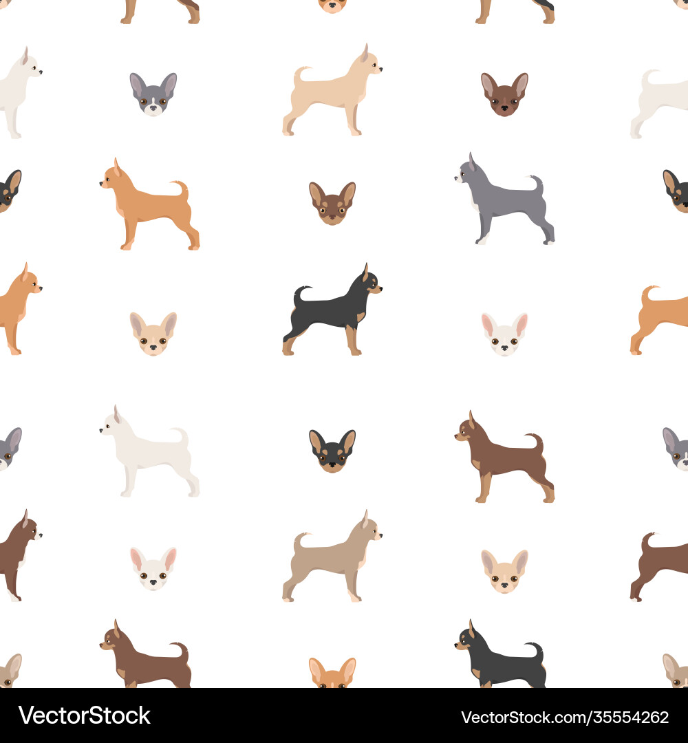 Chihuahua seamless pattern dog healthy silhouette Chihuahua seamless pattern dog healthy silhouette vector image