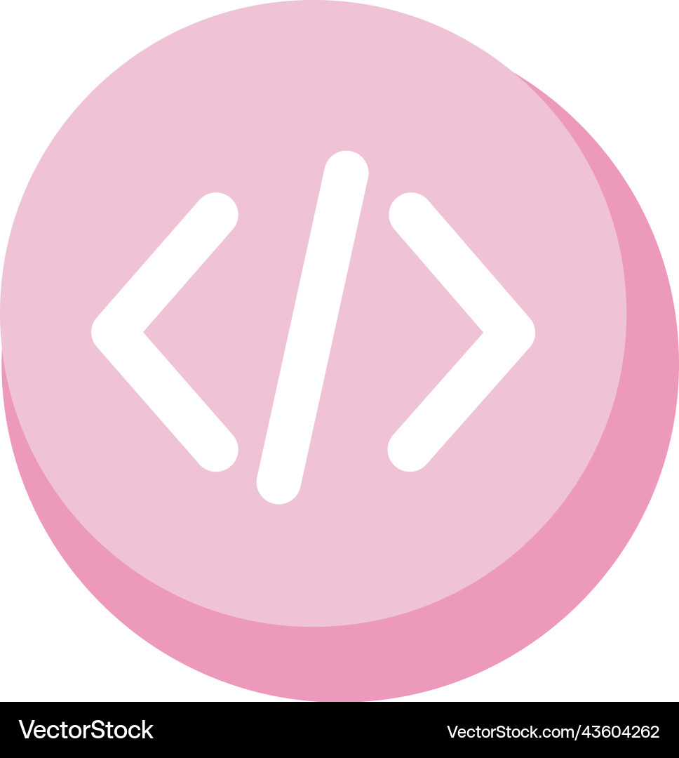Programing code pink button vector image