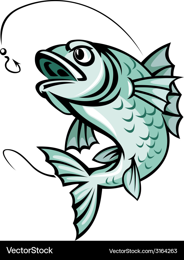 Carp fish Royalty Free Vector Image - VectorStock