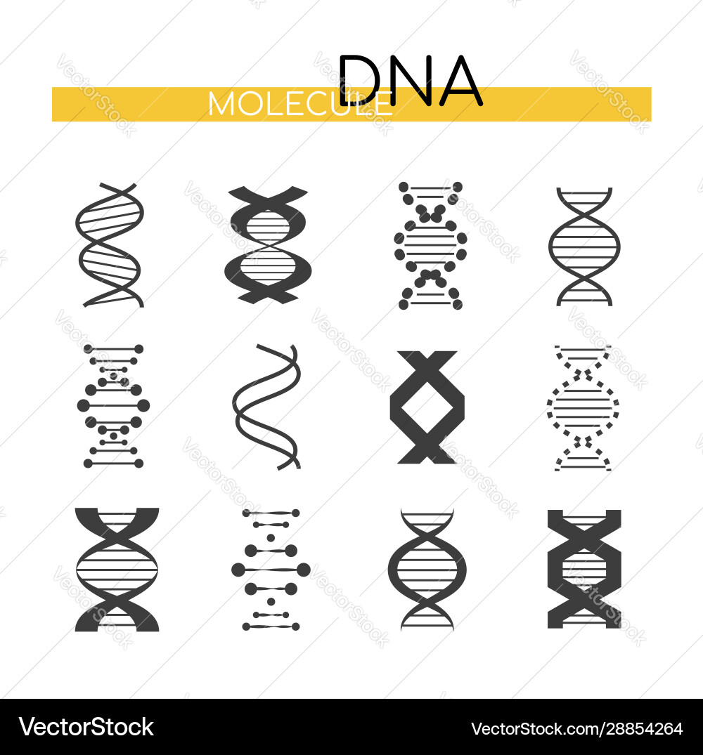 Dna images - line design style elements Dna images - line design style elements vector image