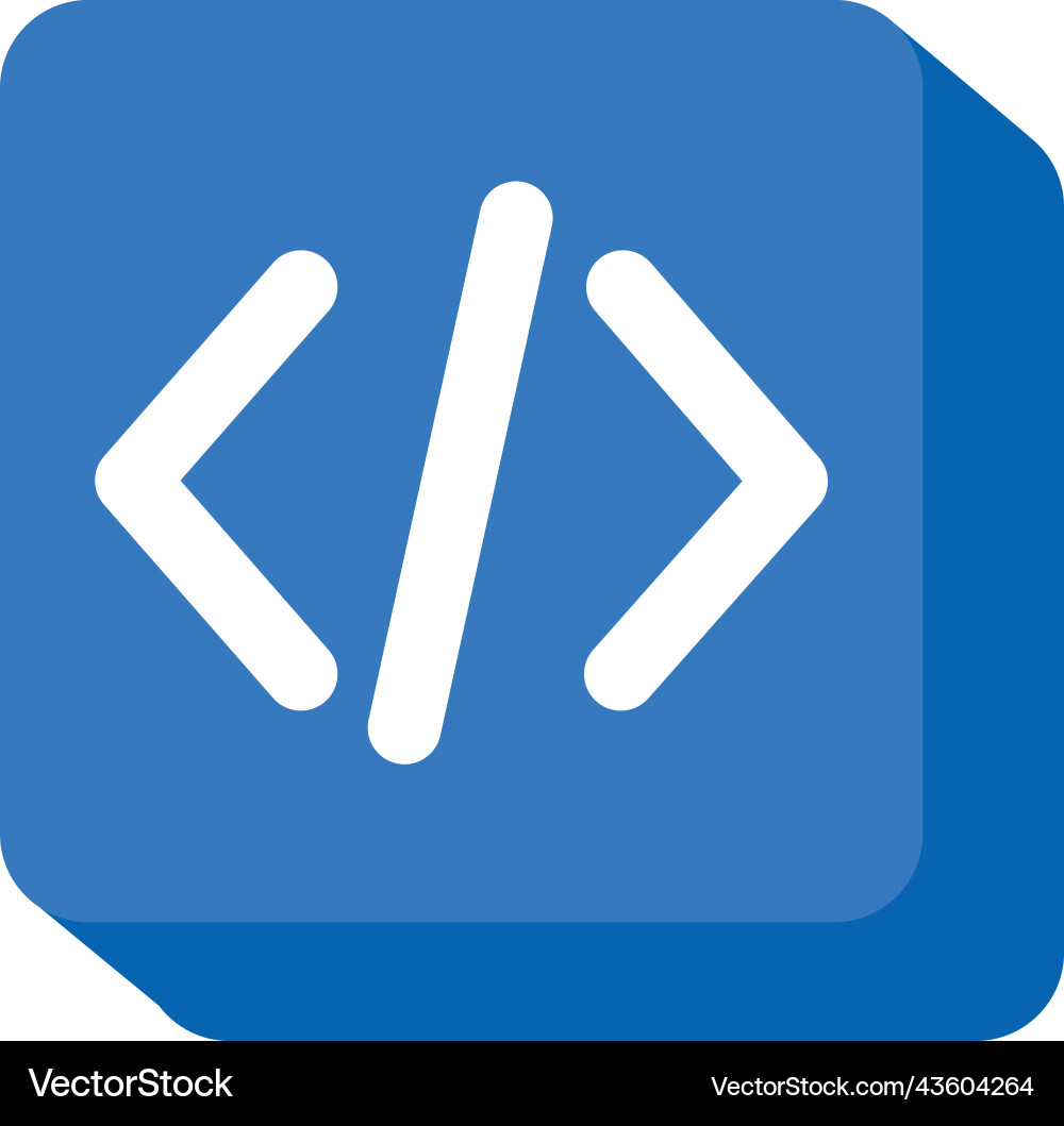 Programing code blue button vector image