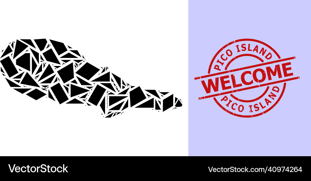 Simple geometric mosaic map of pico island Simple geometric mosaic map of pico island vector image