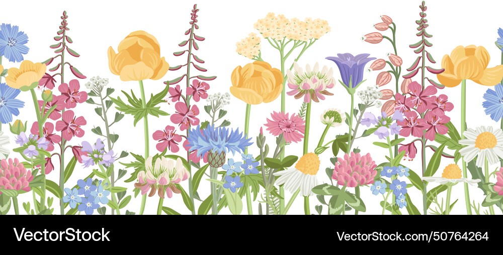 Wildflower Meadow Pattern Vector Image