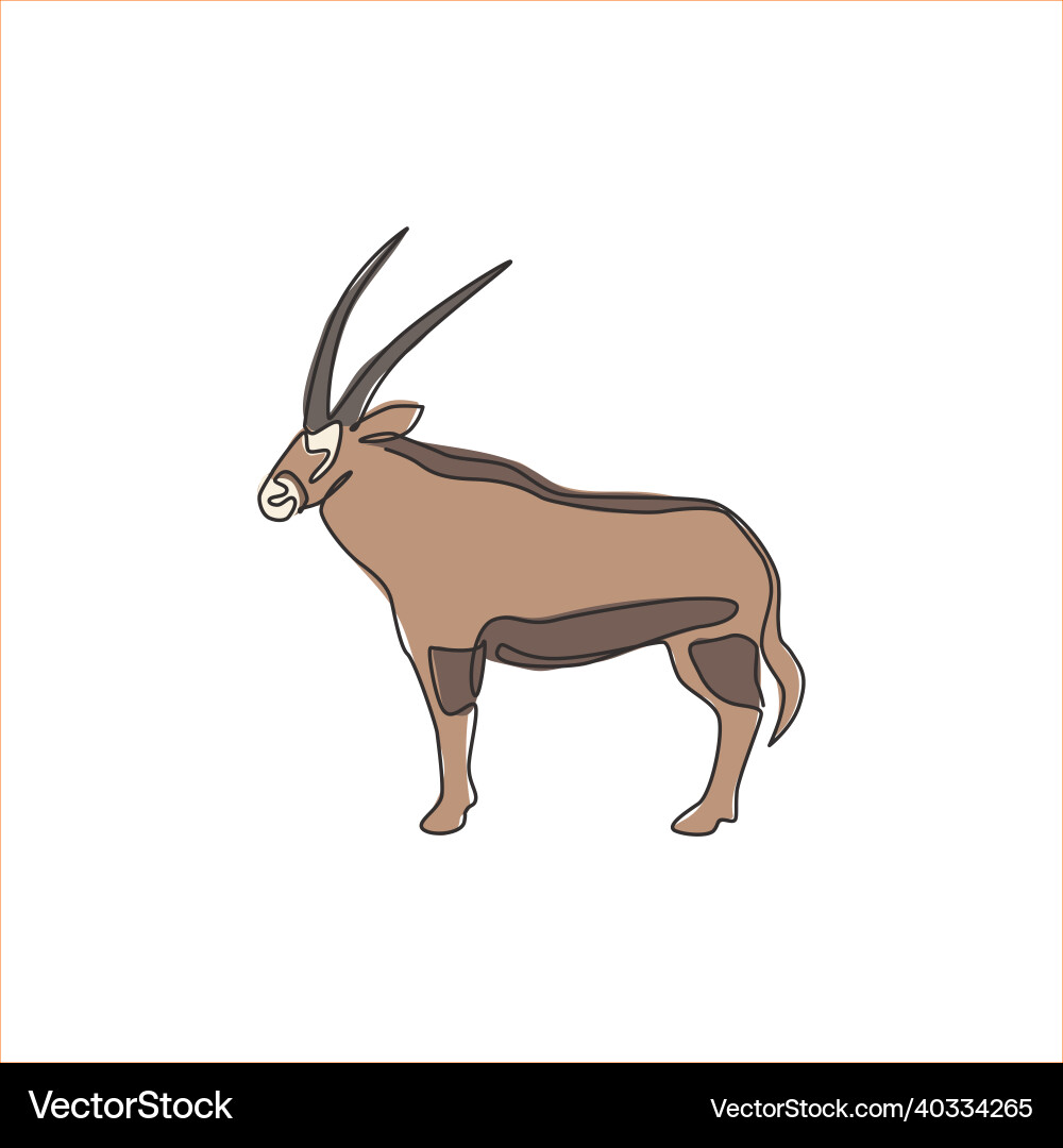 One continuous line drawing of stout oryx One continuous line drawing of stout oryx Vector Image