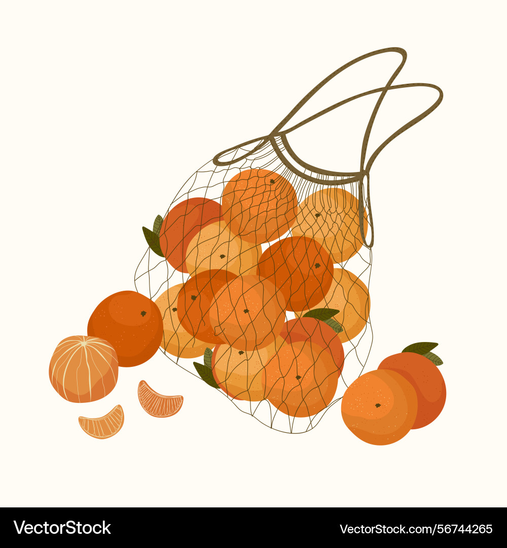 Oranges in net bag cartoon style Oranges in net bag cartoon style Vector Image