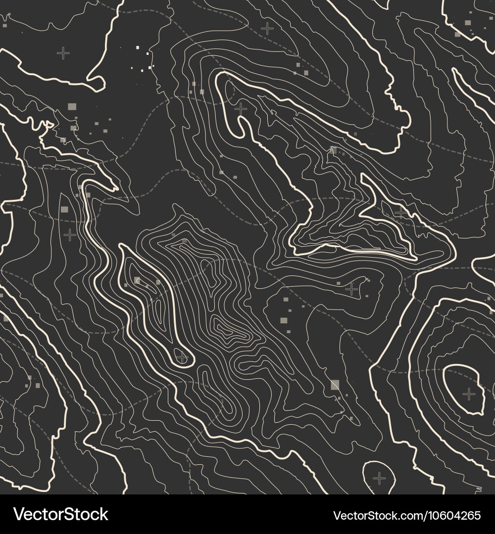 Topographic map background concept with space vector image