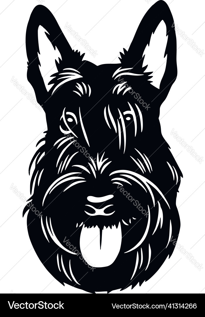 Funny Scottish Terrier Silhouette Vector Image