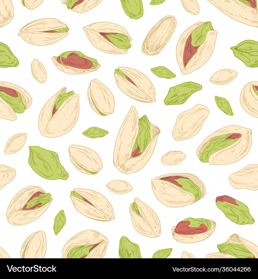 Seamless repeatable pistachio pattern with open Seamless repeatable pistachio pattern with open vector image