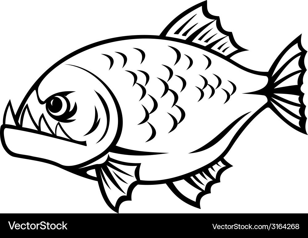 Cartoon Piranha Fish Vector Image