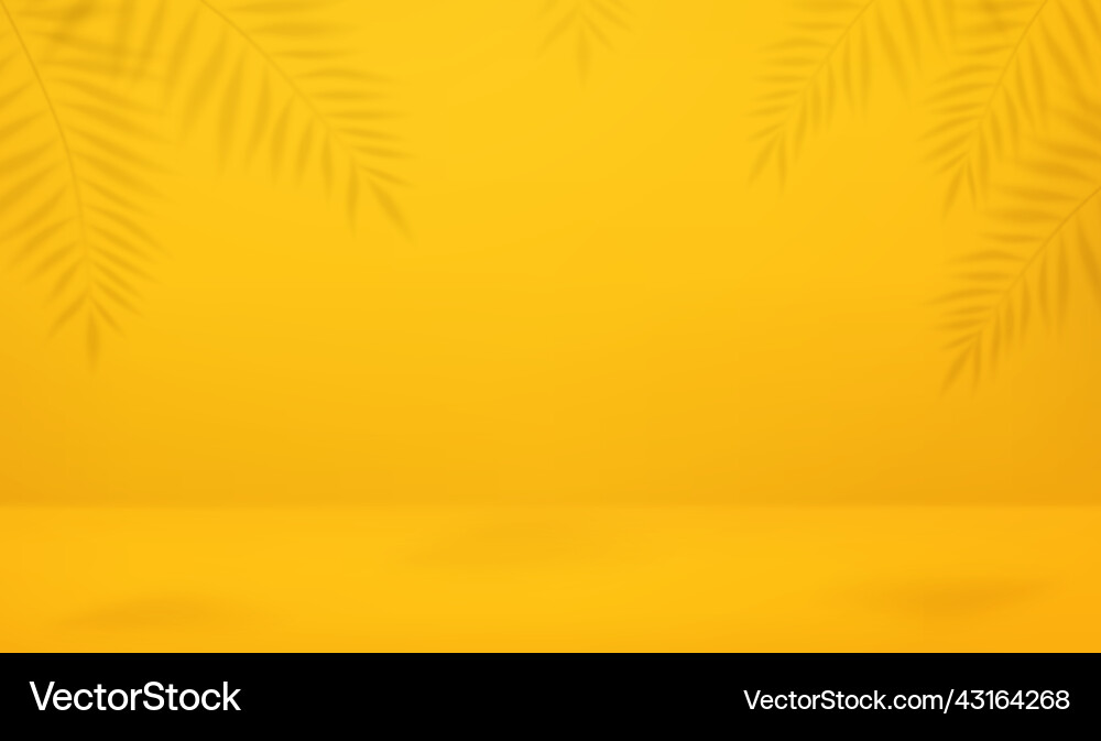Empty studio abstract background Vector Image