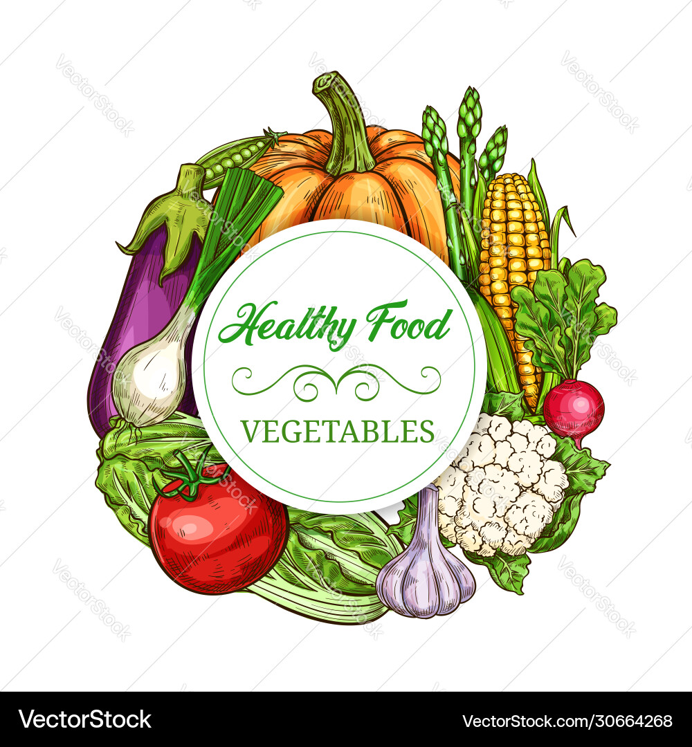 Healthy vegetables and greens sketch banner Healthy vegetables and greens sketch banner vector image