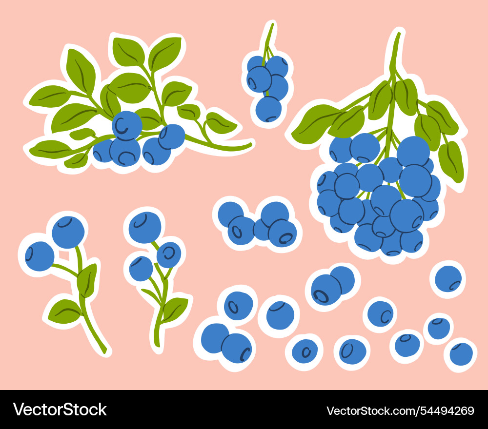 Sticker set with blueberry branches berries Sticker set with blueberry branches berries vector image