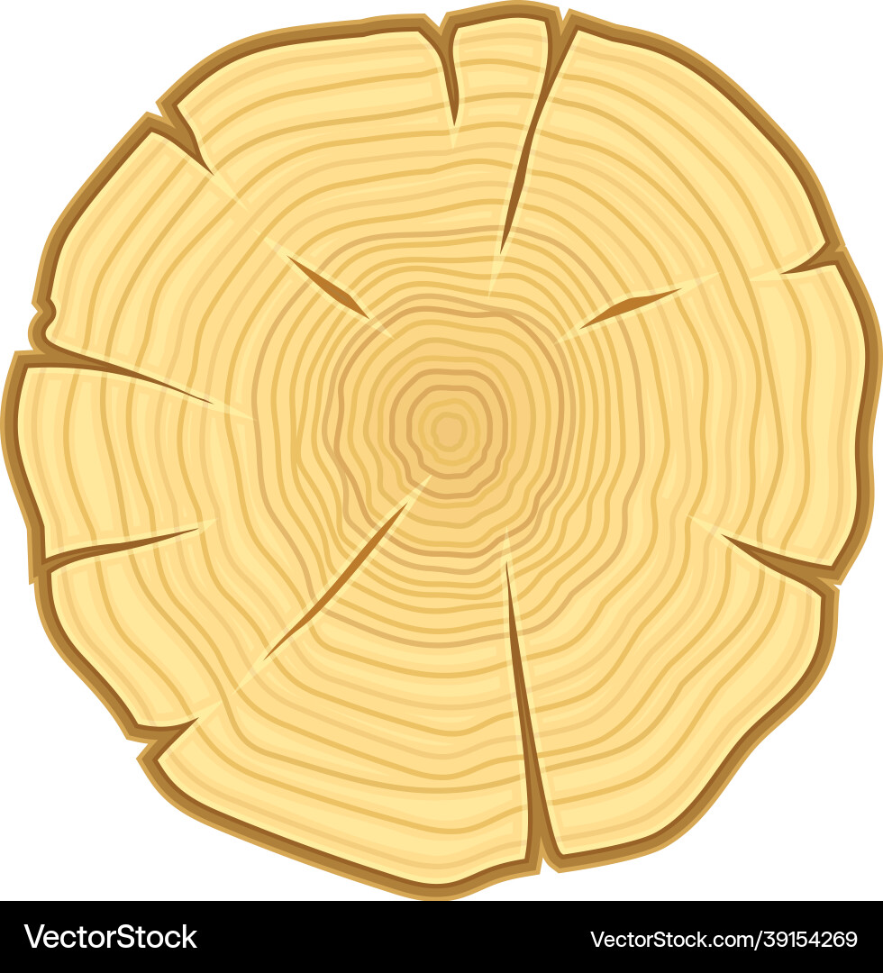 Tree trunk or timber cross section Tree trunk or timber cross section vector image