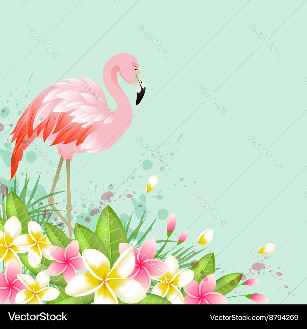 Tropical Pink Flamingo Floral Background Vector Image