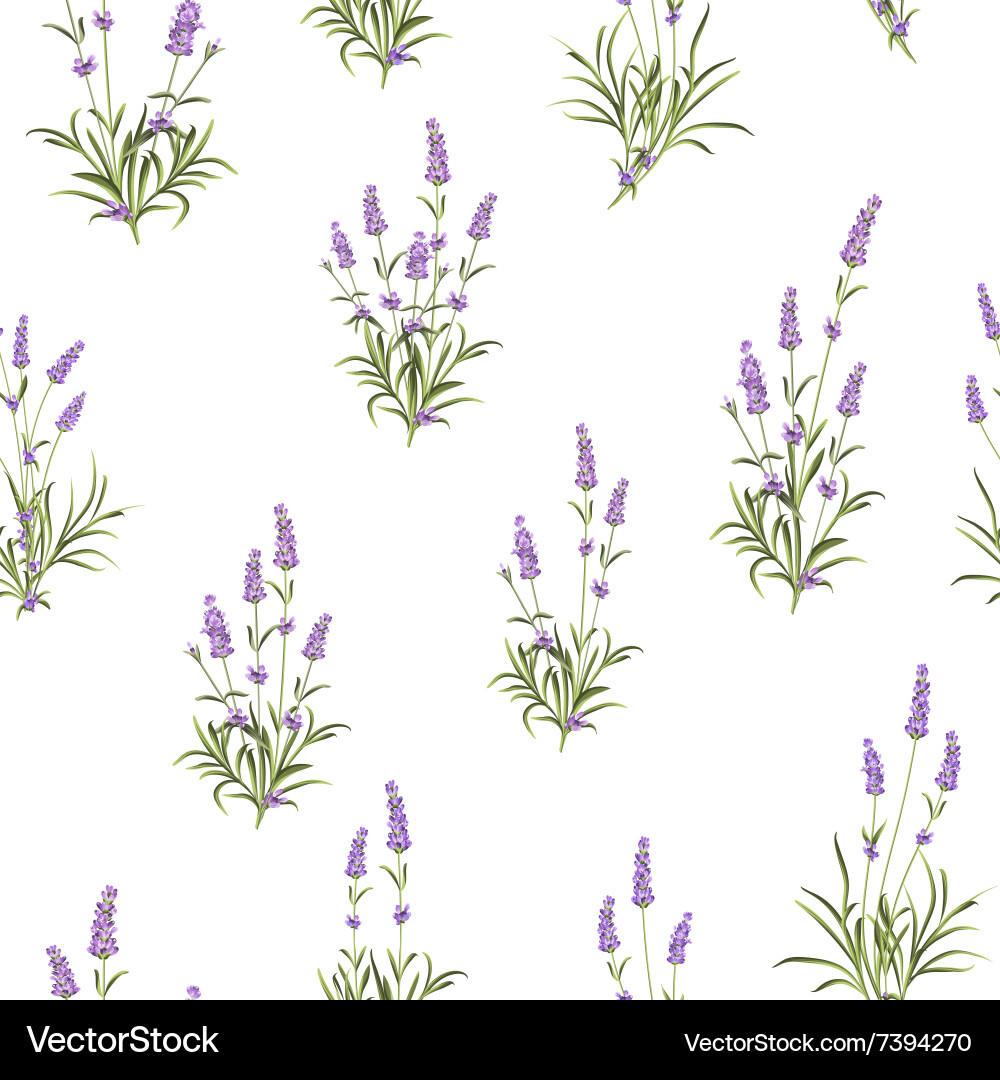 Lavender Floral Pattern Vector Image