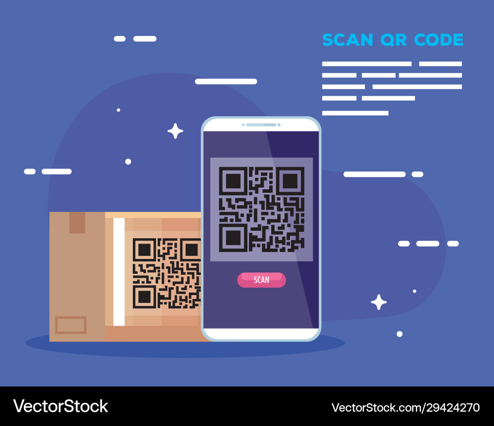 Smartphone with scan code qr and box carton vector image
