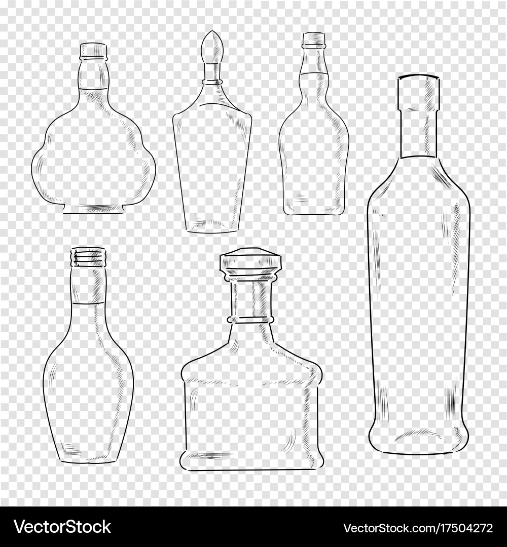 Bottles set on transparent background vector image