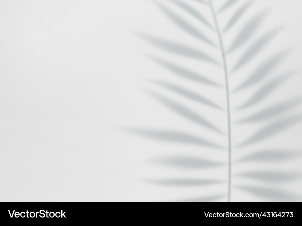 Empty studio abstract background Empty studio abstract background vector image