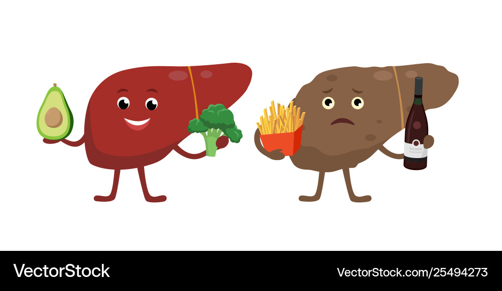 Healthy and unhealthy liver cartoon characters Healthy and unhealthy liver cartoon characters vector image