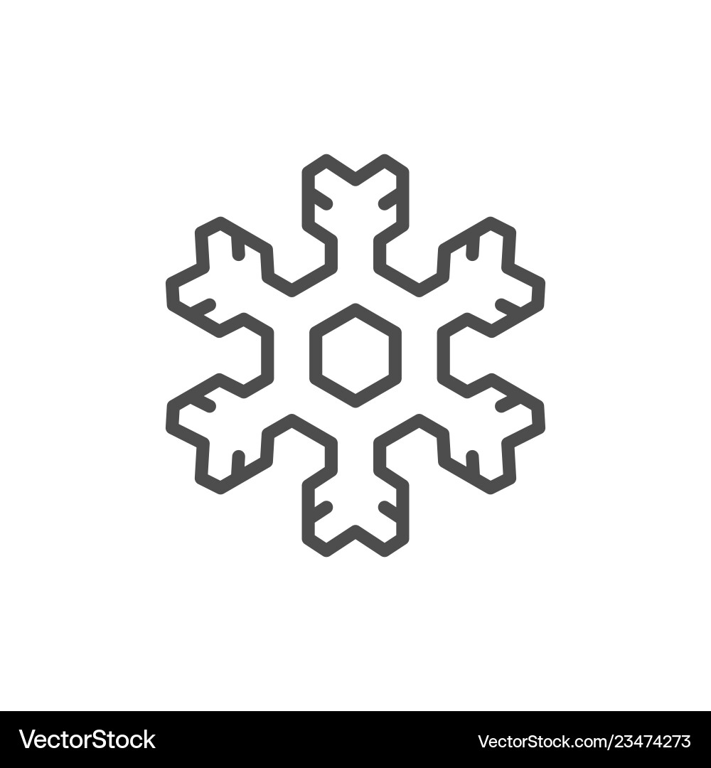 Snowflake line icon vector image