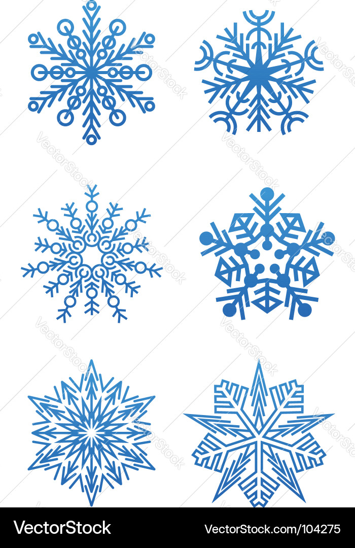 Snowflake Collection vector image