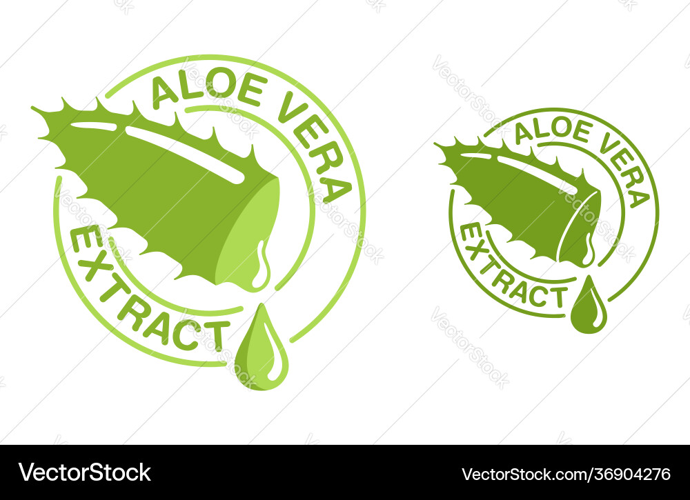 Aloe Vera Blatt mit Tröpfchen Vektorbild