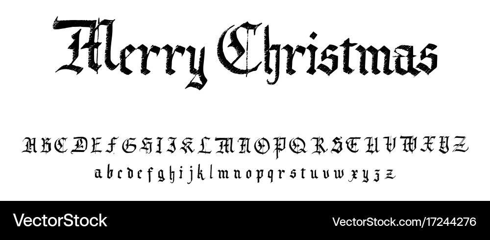 Alphabet calligraphic font unique custom vector image