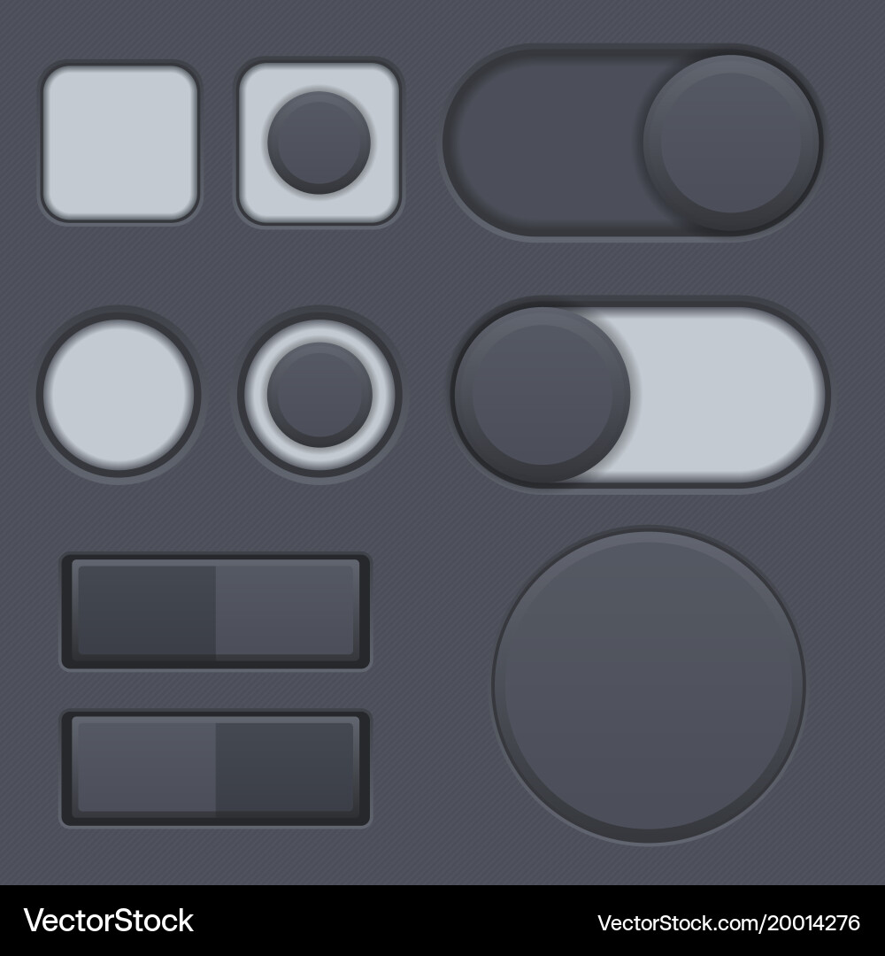 Black Radio Buttons and Toggle Switch vector image