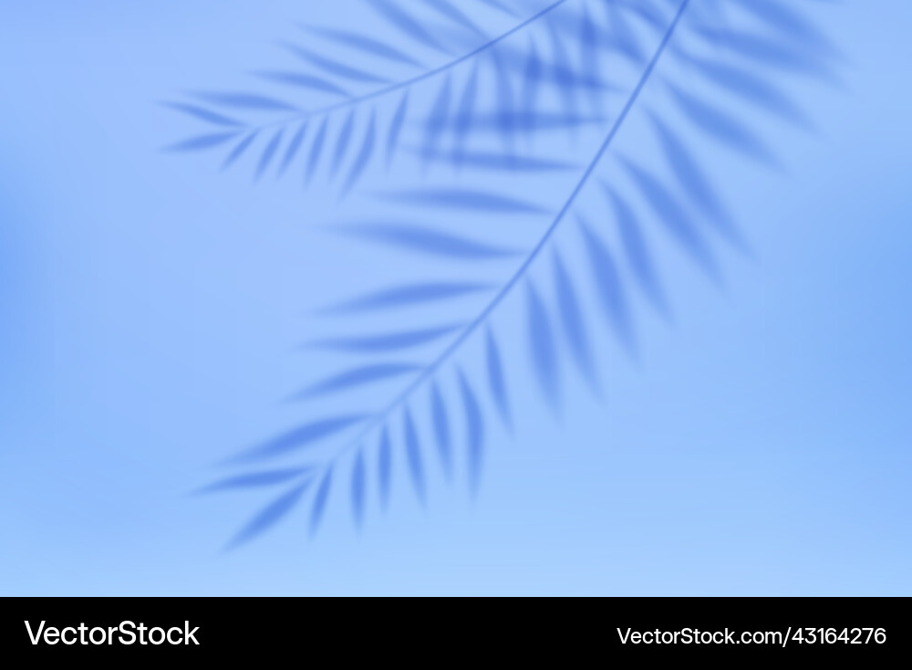 Empty studio abstract background Empty studio abstract background vector image