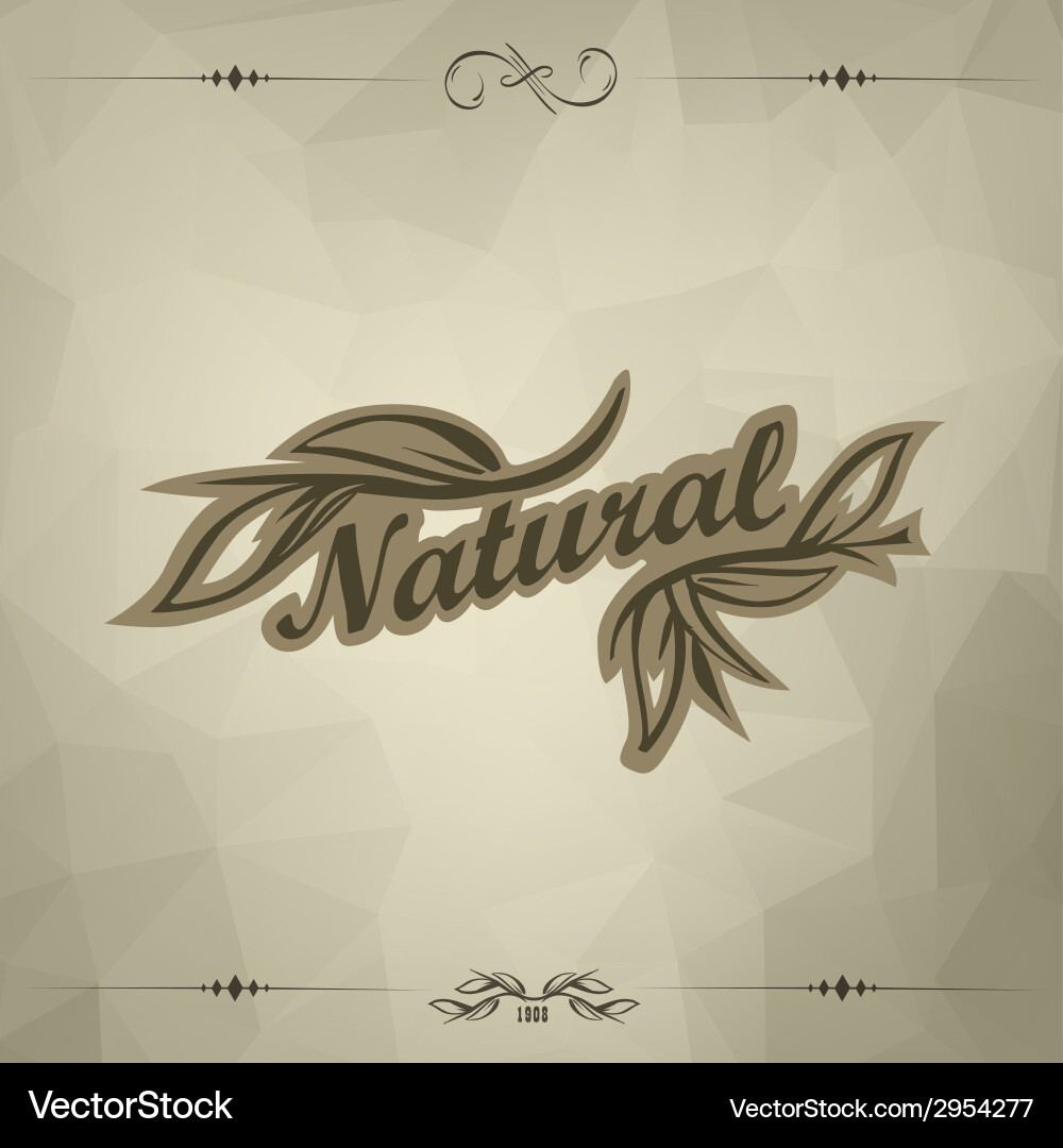 Dark Triangular Background vector image