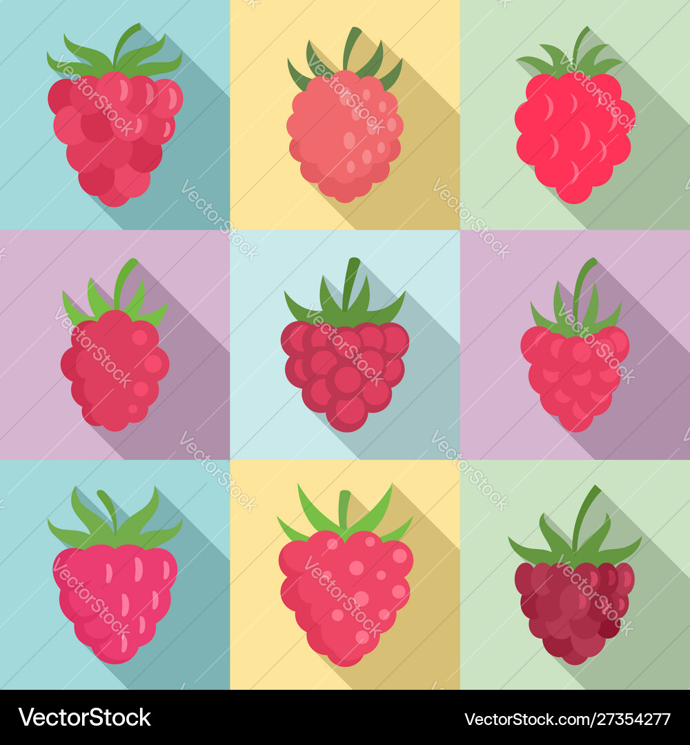 Raspberry icons set flat style Vector Image