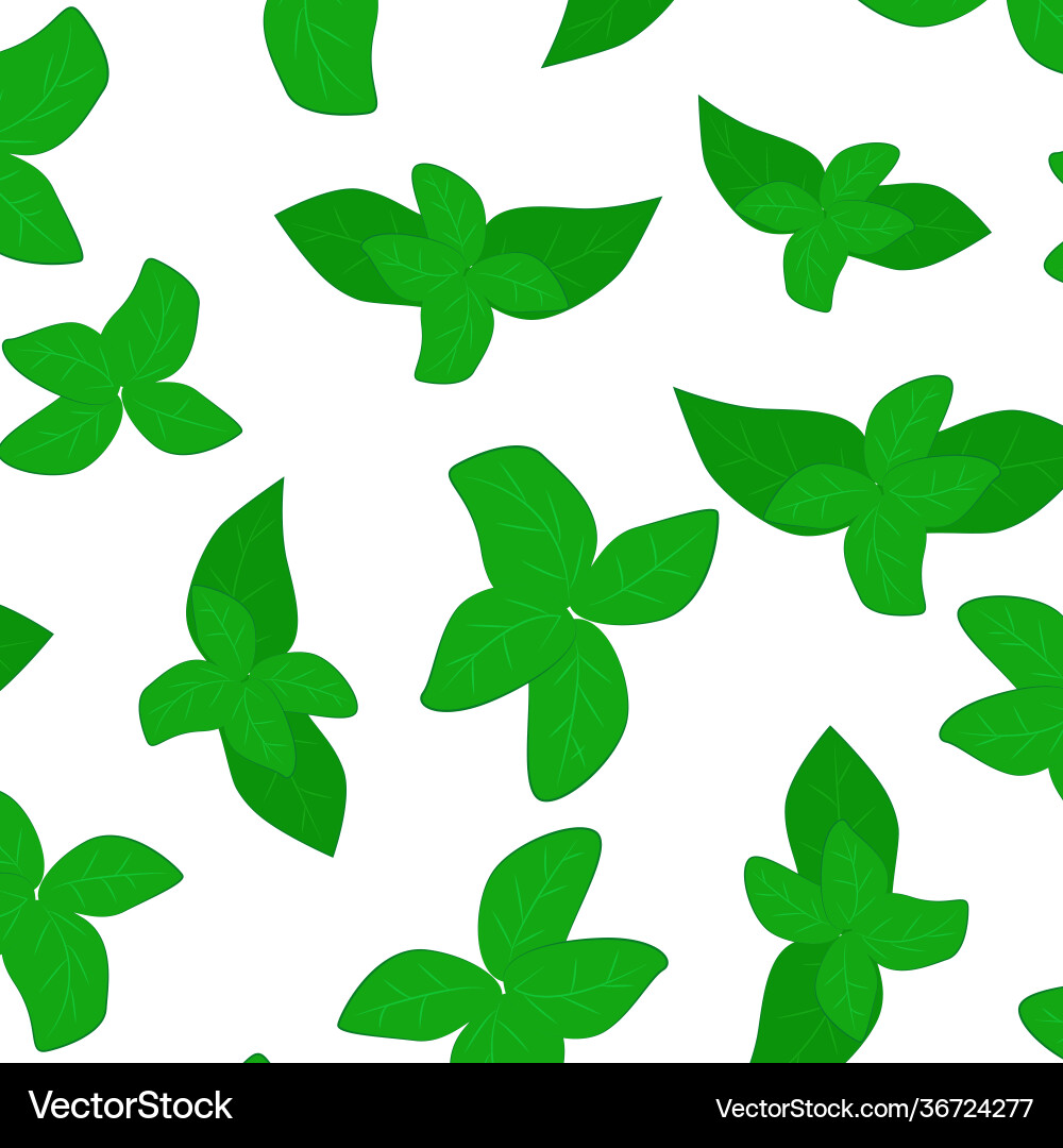 Seamless background with basil leaves a repeating Seamless background with basil leaves a repeating Vector Image