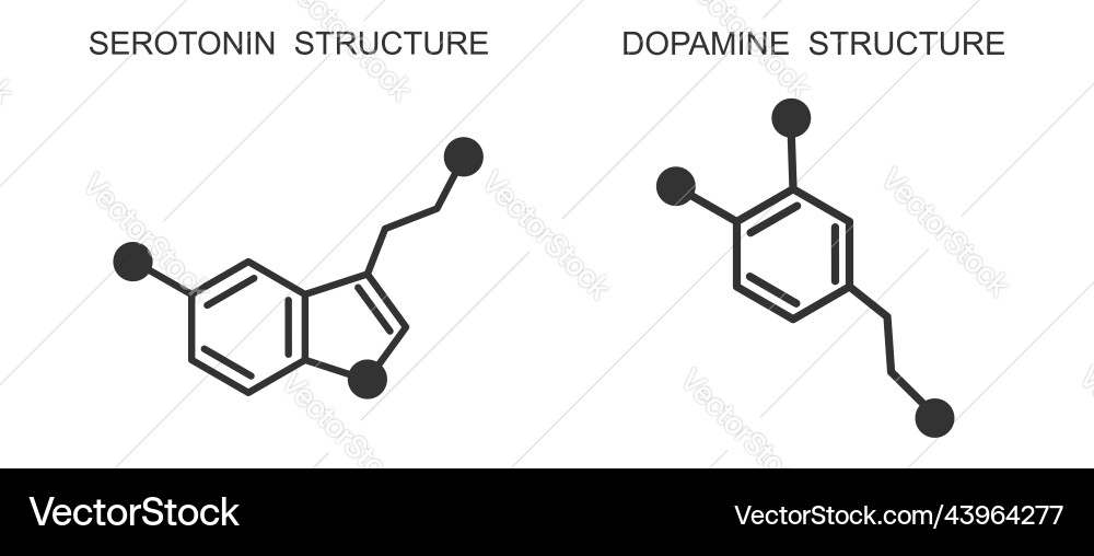 Serotonin and dopamine icons chemical molecular Serotonin and dopamine icons chemical molecular Vector Image