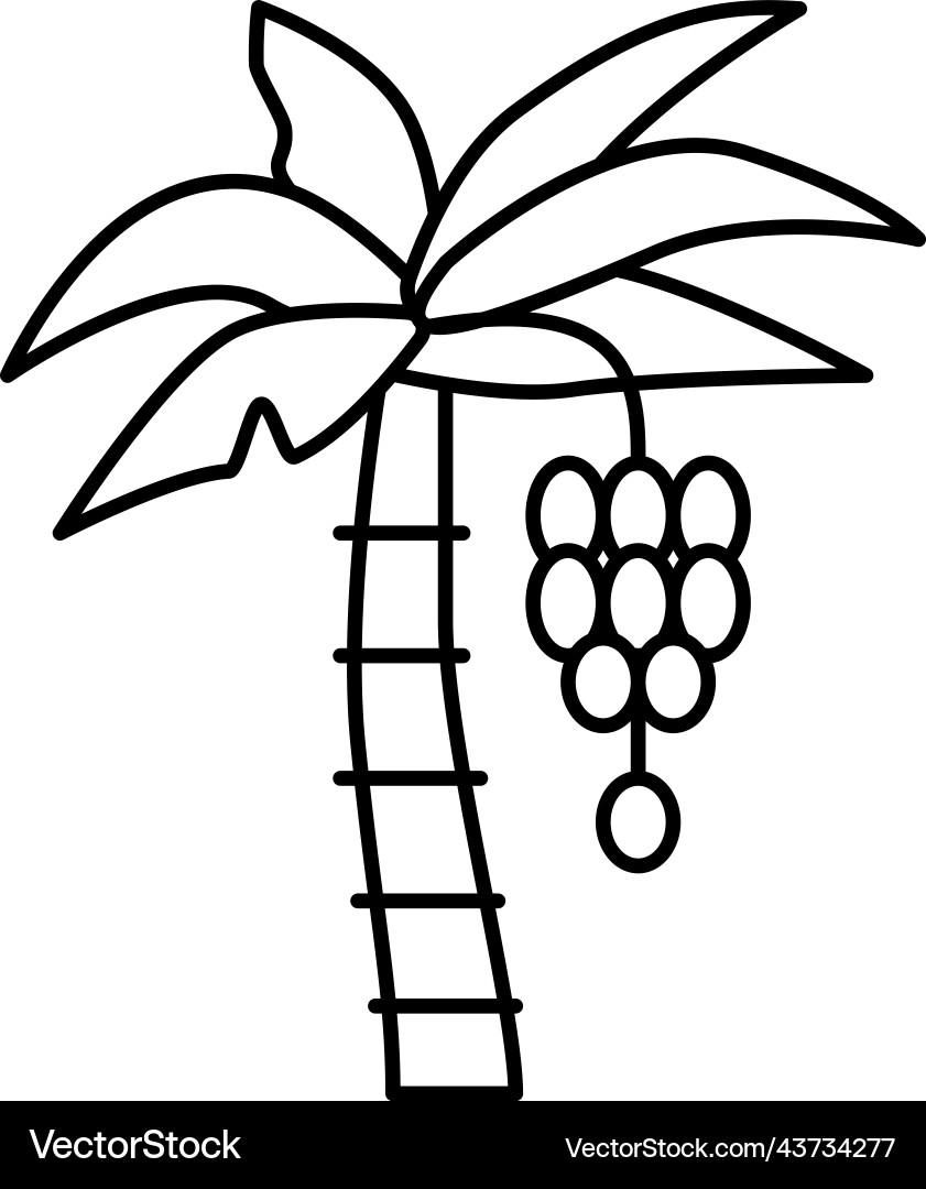 Tree banana line icon Vector Image
