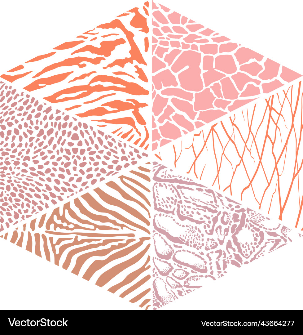 Triangular Animal Patterns Vector Image