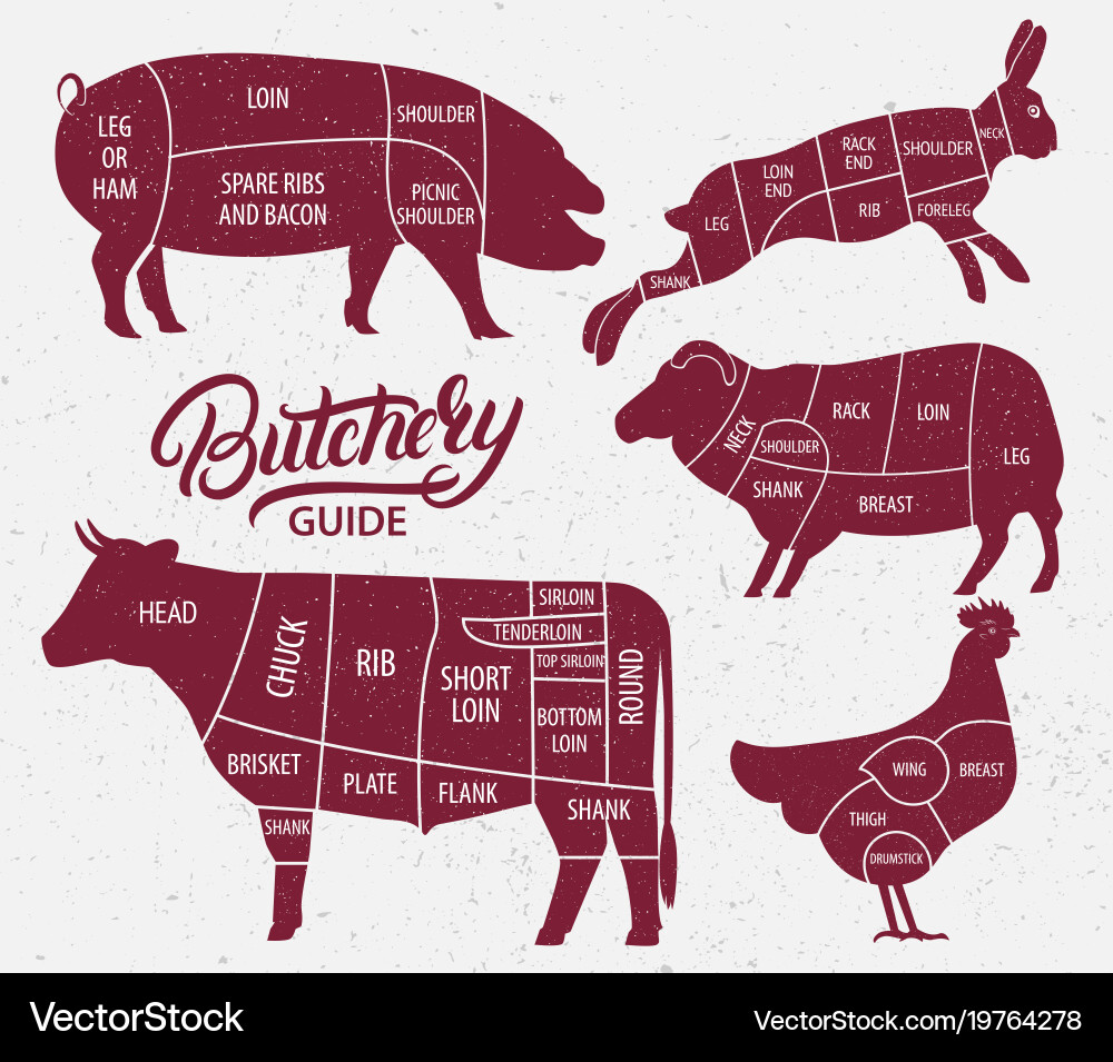 Farm Animal Cutouts - Meat & Poultry Vector Image