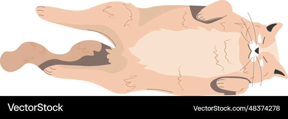 Lazy kitten sleeping and napping kitty character Lazy kitten sleeping and napping kitty character vector image