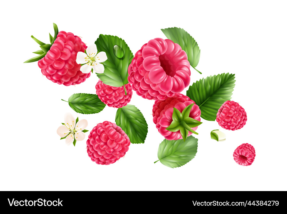 Flying raspberry realistic composition vector image