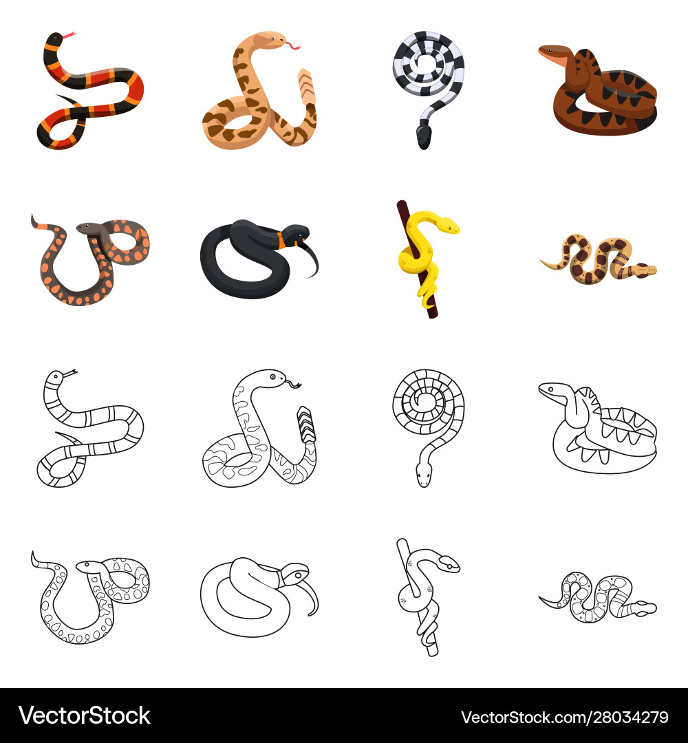 Isolated object snake and creepy icon set Vector Image