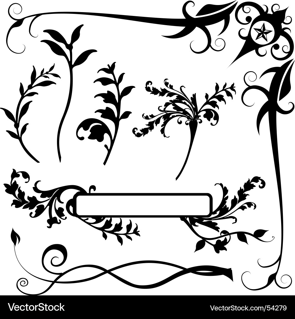 Ornate Floral Border Elements vector image