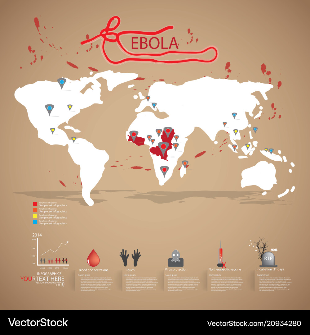 Ebola virus infographic Vector Image