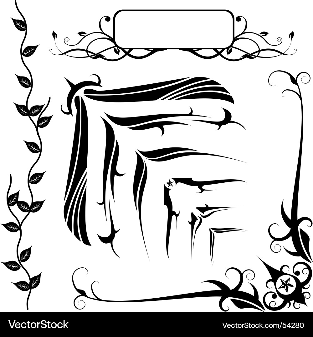Elegant Floral Border Collection Vector Image