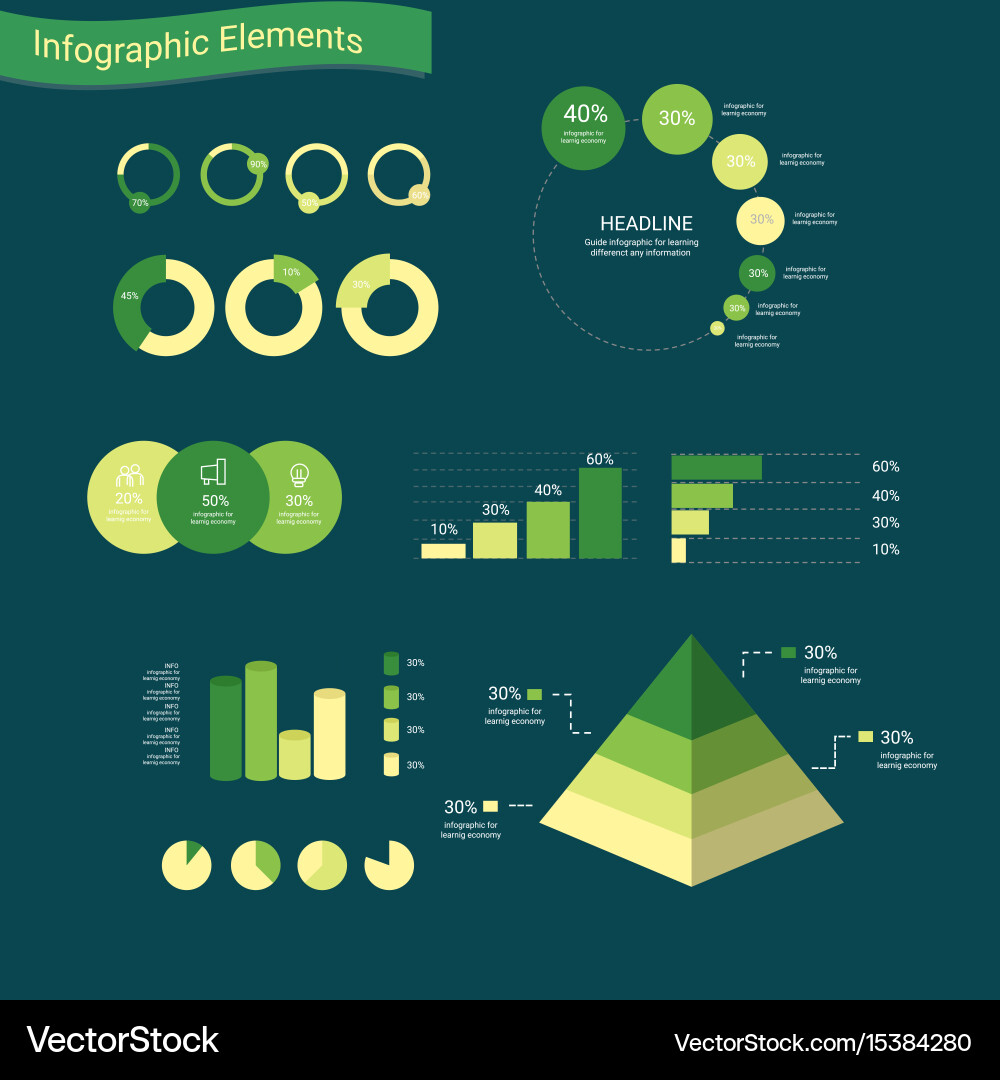 Infographic elements with chart and layout vector image