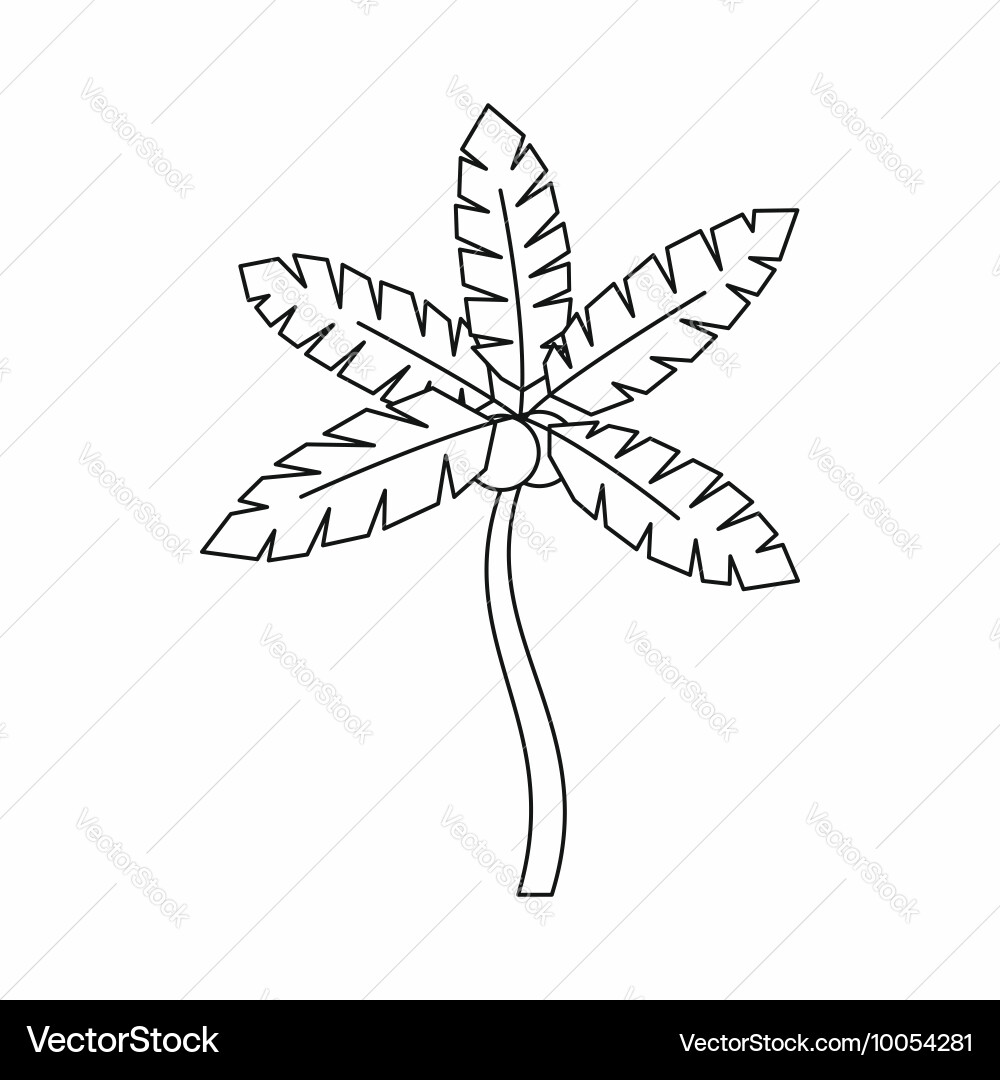 Palm tree with coconuts icon outline style vector image